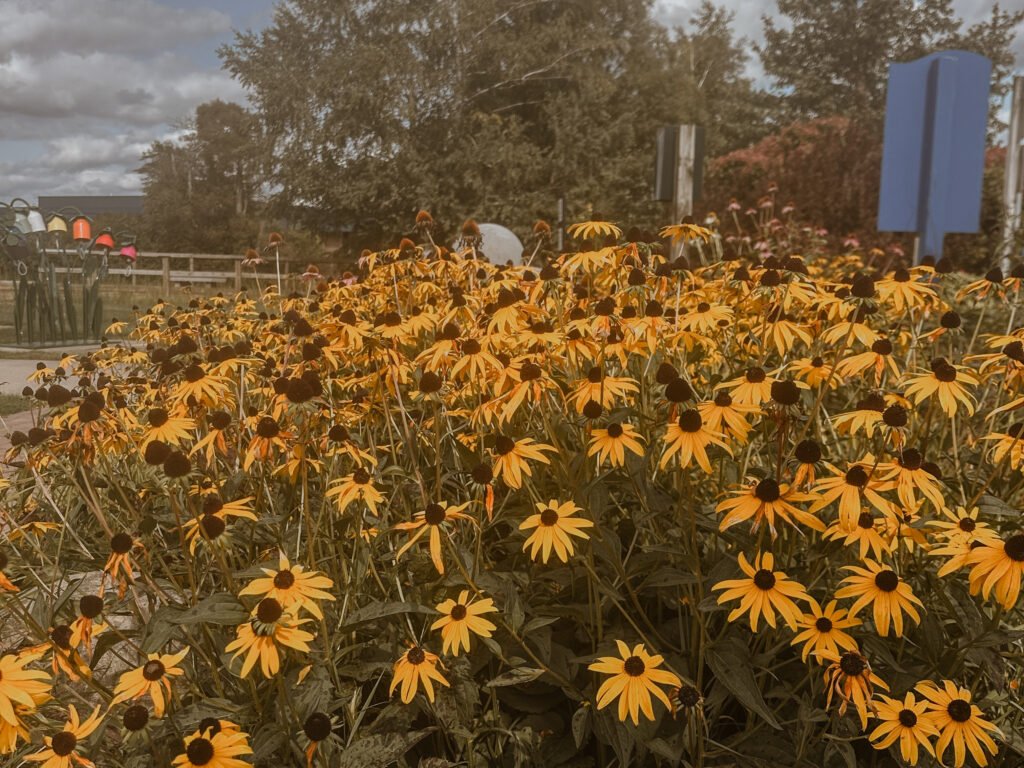 Your Guide to Craetive Living