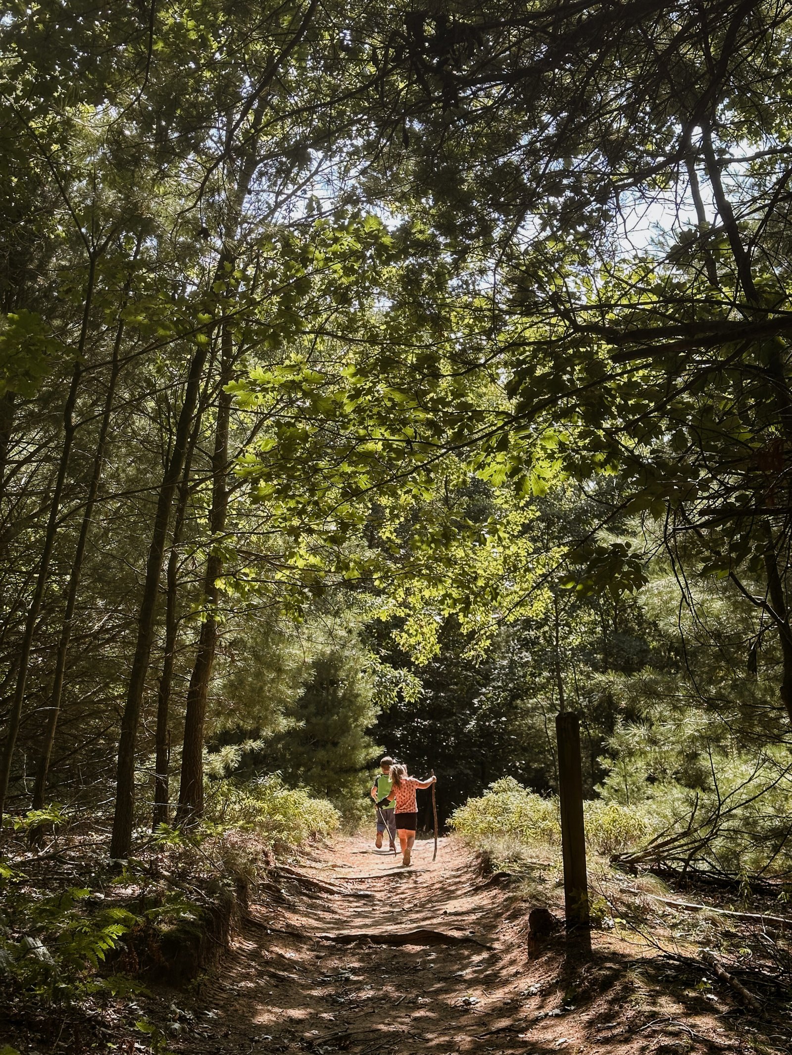 Creativity for Children